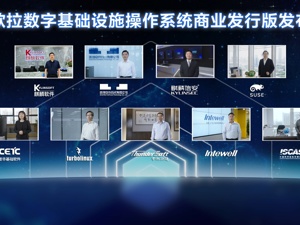 华为公布欧拉操作系统最新进展  服务器领域“缺芯少魂”难题迎来曙光？