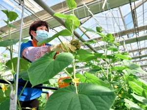 5月全国食用农产品市场价格环比下降2.8%