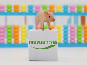牧原股份接受机构调研：5月商品猪出栏均重为110公斤左右，还预测了下半年猪价走势