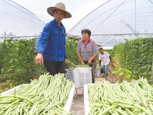 定了！四川将适时启动试行个人养老金