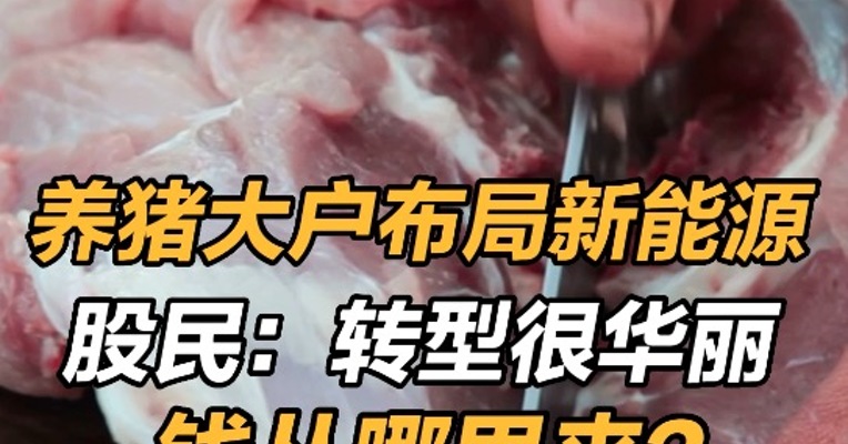 养猪大户布局新能源，股民：转型很华丽，钱从哪来？