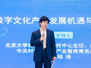 北大教授、中关村数字文化产业智库副理事长陆地：数字技术是辅助工具，警惕“技术崇拜”陷阱