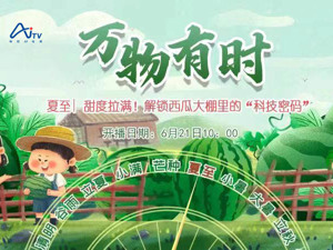 直播丨【万物有时】夏至，甜度拉满！解锁西瓜大棚里的“科技密码”