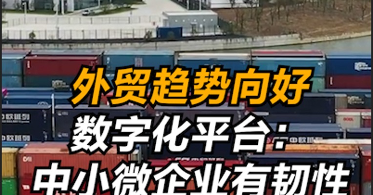 外贸趋势向好，数字化平台：中小微企业有韧性