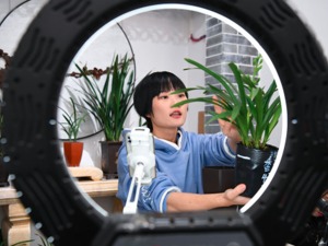 两部门发文规范网络主播行为 这31种行为不能出现