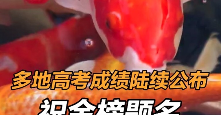 多地高考成绩陆续公布 祝金榜题名 