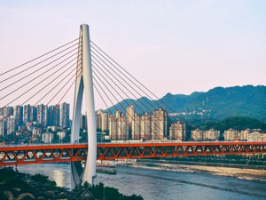 最快85天开盘！重庆2021年首批集中供地超5成项目入市，有房企选择退地