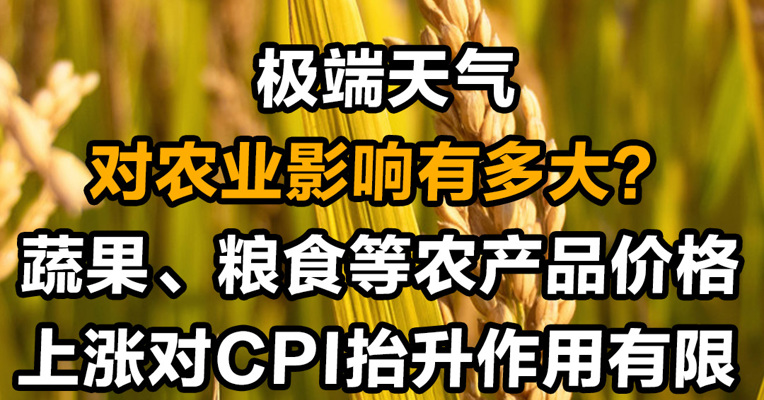 极端天气对农业影响有多大？蔬果、粮食等农产品价格上涨对CPI抬升作用有限
