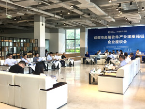 促进产业高质量发展 成都举行高端软件产业建圈强链企业座谈会