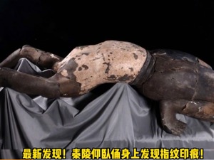 秦陵仰卧俑，有新发现！