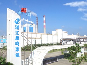 饱受高负债率困扰，造纸龙头晨鸣纸业拟引进“战投”对子公司增资4个亿