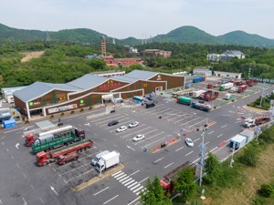 上半年铁路、邮政快递货运量预计超2019年同期