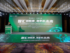 打造大型新能源汽车城市展厅 成都温江新能源汽车产业聚集区授牌仪式举行