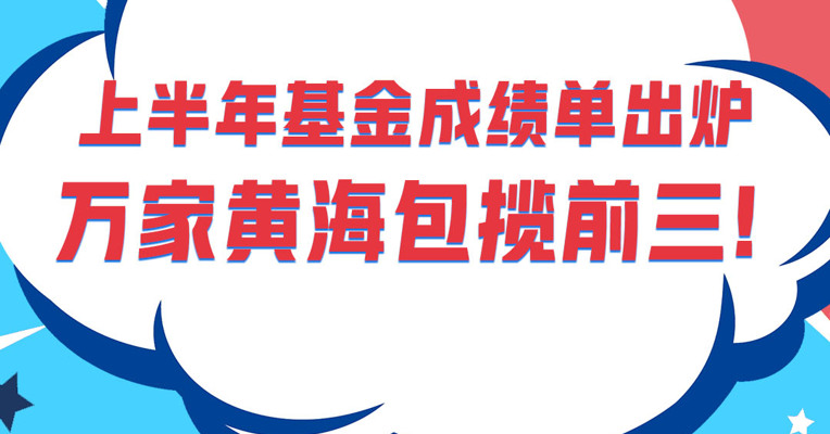上半年基金成绩单新鲜出炉：万家黄海包揽前三!大宗商品ETF霸榜！