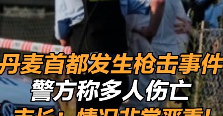 丹麦首都发生枪击事件, 丹麦首都发生枪击事件致多人死伤