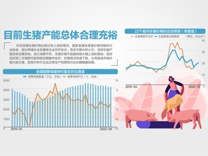 发改委：猪价不具备持续大幅上涨基础