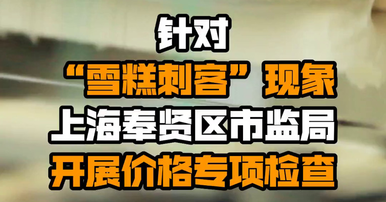 针对“雪糕刺客”现象 上海奉贤区市监局开展价格专项检查