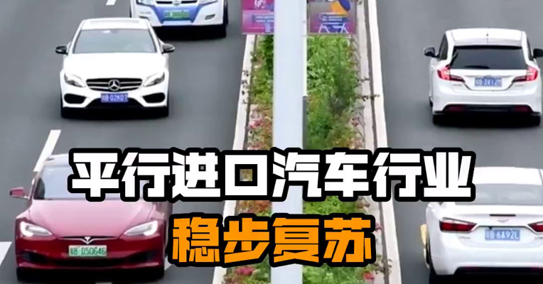 平行进口汽车行业稳步复苏