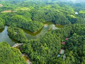 发布12条“清凉”线路 成都邛崃文旅产业快速发展