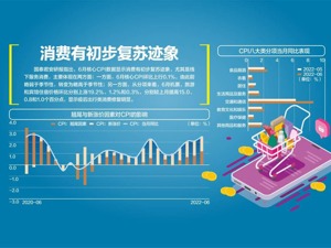 翘尾因素影响大 6月CPI回升至2.5%