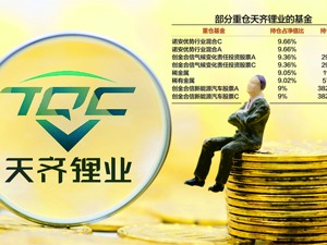 徐翔妻子应莹首次公开点评个股 天齐锂业市值应声跌破2000亿