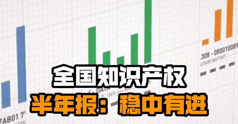 全国知识产权半年报：稳中有进