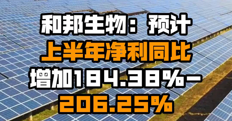 和邦生物：预计上半年净利同比增加184.38%-206.25%