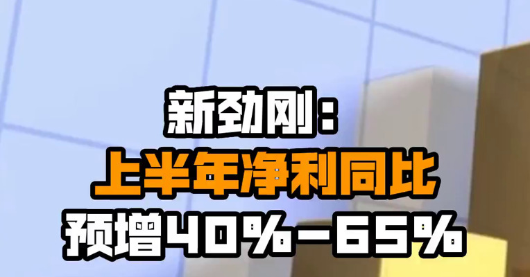 新劲刚：上半年净利同比预增40%-65%