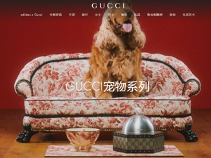一张宠物床卖7万 Gucci、LV、爱马仕……奢侈品牌纷纷抢滩“它经济”