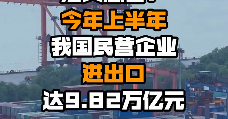 海关总署：今年上半年我国民营企业进出口达9.82万亿元