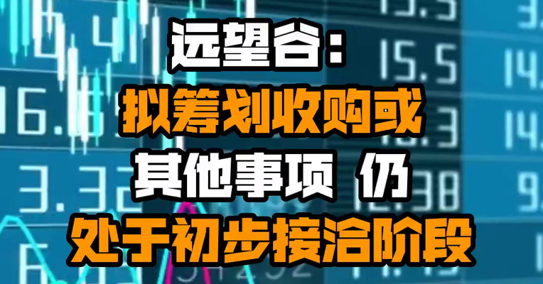 远望谷：拟筹划收购或其他事项 仍处于初步接洽阶段