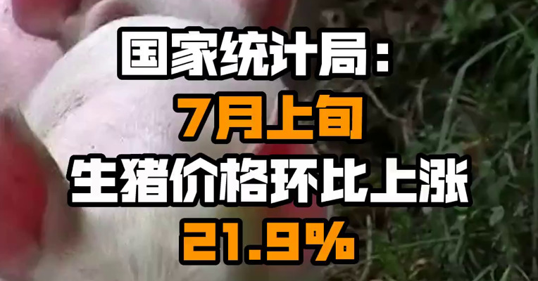 国家统计局：7月上旬生猪价格环比上涨21.9%