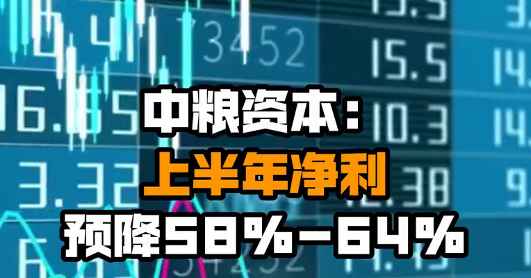 中粮资本：上半年净利预降58%-64%