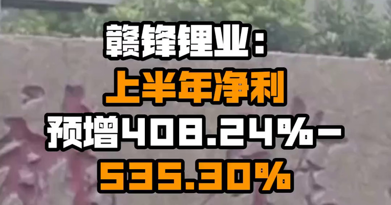 赣锋锂业：上半年净利预增408.24%-535.30%