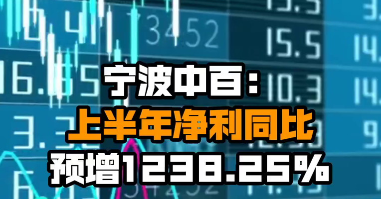宁波中百：上半年净利同比预增1238.25%