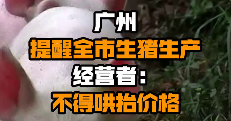 广州提醒全市生猪生产经营者：不得哄抬价格