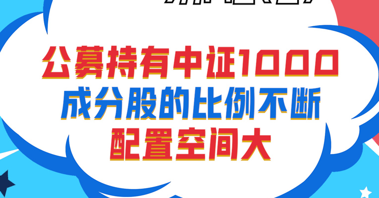 视频丨广发中证1000ETF指数拟任基金经理 罗国庆：公募持有中证1000成分股的比例不断上升，配置空间大