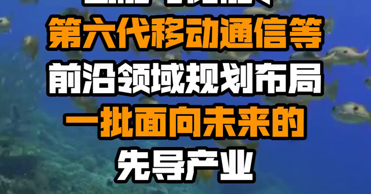 上海：在新型海洋经济、氢能与储能、第六代移动通信等前沿领域规划布局一批面向未来的先导产业