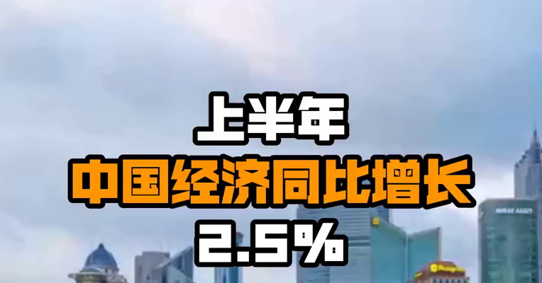 上半年中国经济同比增长2.5%