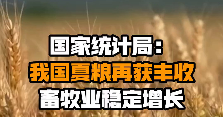 国家统计局：我国夏粮再获丰收 畜牧业稳定增长