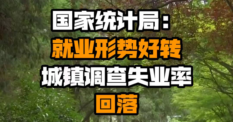 国家统计局：就业形势好转 城镇调查失业率回落