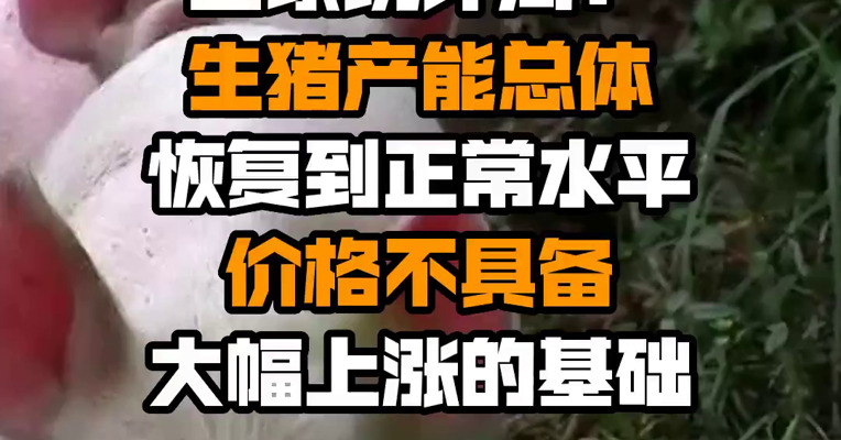 国家统计局：生猪产能总体恢复到正常水平 价格不具备大幅上涨的基础