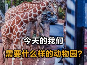今天的我们，需要什么样的动物园？