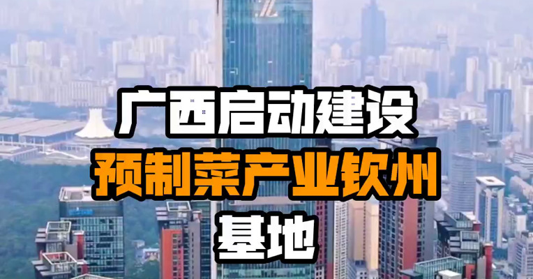 广西启动建设预制菜产业钦州基地
