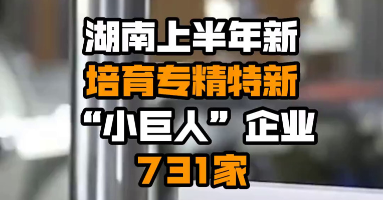 湖南上半年新培育专精特新“小巨人”企业731家