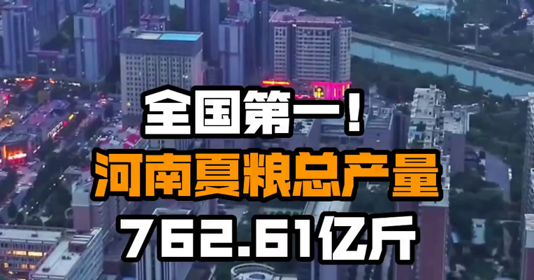 全国第一！河南夏粮总产量762.61亿斤