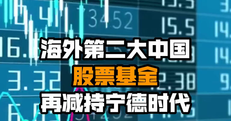 海外第二大中国股票基金再减持宁德时代