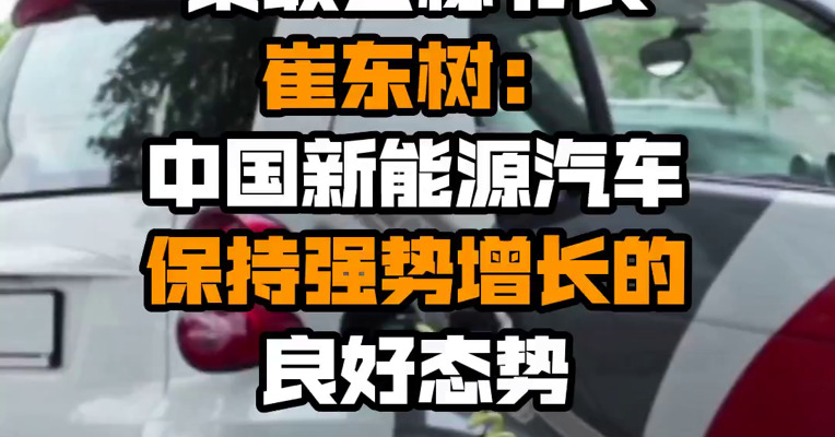 乘联会秘书长崔东树：中国新能源汽车保持强势增长的良好态势