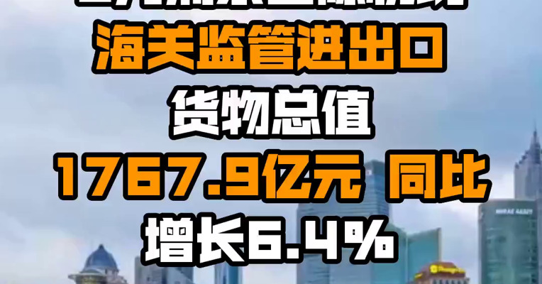 6月浦东国际机场海关监管进出口货物总值1767.9亿元 同比增长6.4%