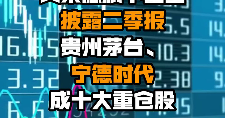 贝莱德旗下基金披露二季报 贵州茅台、宁德时代成十大重仓股